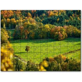 Cakapuzzle Ormanın Ortasındaki Yemyeşil Arazi Yalnız Ağaç Mdf 255 Parça Puzzle