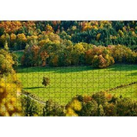 Cakapuzzle Ormanın Ortasındaki Yemyeşil Arazi Yalnız Ağaç Mdf 500 Parça Puzzle