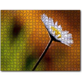 Cakapuzzle Örümcek Ağlı Beyaz Papatya Görseli 1000 Parça Puzzle