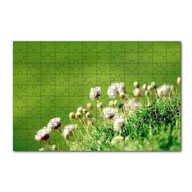 Cakapuzzle Otların Arasında Yeni Açan Çiçekler 120 Parça Ahşap Puzzle