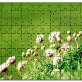 Cakapuzzle Otların Arasında Yeni Açan Çiçekler Mdf 500 Parça Puzzle