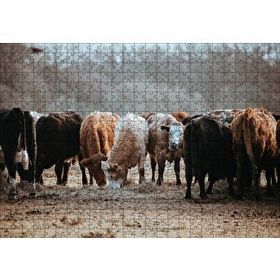 Cakapuzzle Otlayan Büyükbaş Hayvanlar 120 Parça Ahşap Puzzle