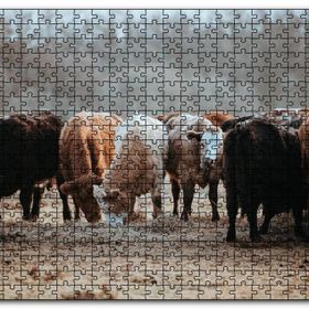 Cakapuzzle Otlayan Büyükbaş Hayvanlar Mdf 1000 Parça Puzzle