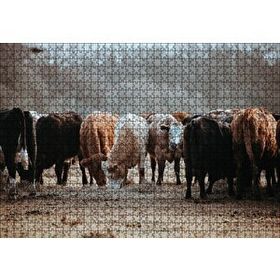 Cakapuzzle Otlayan Büyükbaş Hayvanlar Mdf 1000 Parça Puzzle