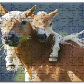 Cakapuzzle Otlayan Kahverengi Beyaz At İle Sırtındaki Tayı Mdf 1000 Parça Puzzle