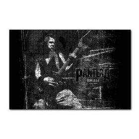Cakapuzzle Pantera Dimebag Darrell Gitar Çalıyor 120 Parça Ahşap Puzzle