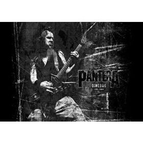 Cakapuzzle Pantera Dimebag Darrell Gitar Çalıyor 120 Parça Ahşap Puzzle