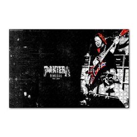 Cakapuzzle Pantera Solist Dimebag Darrell 120 Parça Ahşap Puzzle