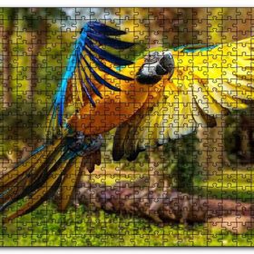 Cakapuzzle Papağan Mavi Turuncu Sarı Ormanda Uçuyor Mdf 500 Parça Puzzle