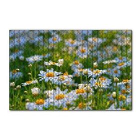 Cakapuzzle Papatya Tarlası 120 Parça Ahşap Puzzle