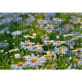Cakapuzzle Papatya Tarlası 120 Parça Ahşap Puzzle