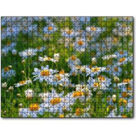 Cakapuzzle Papatya Tarlası 120 Parça Puzzle