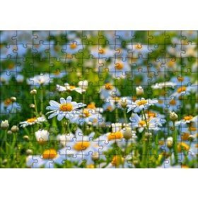 Cakapuzzle Papatya Tarlası 120 Parça Puzzle