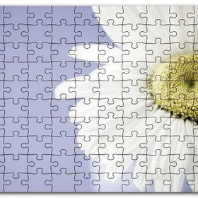 Cakapuzzle Papatya Yakın Çekim Gökyüzü Arkaplan Mdf 255 Parça Puzzle