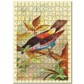 Cakapuzzle Paradise Tanager Kuş Görseli Mdf 500 Parça Puzzle