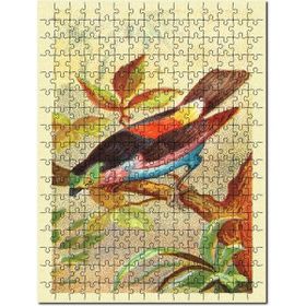 Cakapuzzle Paradise Tanager Kuş Görseli Mdf 500 Parça Puzzle