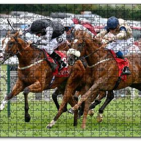 Cakapuzzle Parkurda Kıyasıya Yarışan Safkanlar Mdf 500 Parça Puzzle