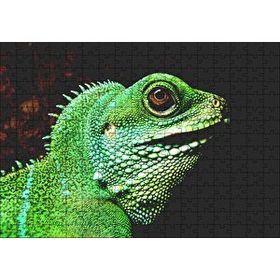 Cakapuzzle Parlak Yeşil Renkleriyle Kertenkele Mdf 255 Parça Puzzle