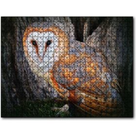 Cakapuzzle Peçeli Baykuş Türü 255 Parça Puzzle
