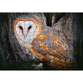 Cakapuzzle Peçeli Baykuş Türü 255 Parça Puzzle