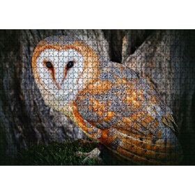 Cakapuzzle Peçeli Baykuş Türü Mdf 1000 Parça Puzzle