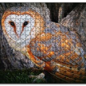 Cakapuzzle Peçeli Baykuş Türü Mdf 500 Parça Puzzle