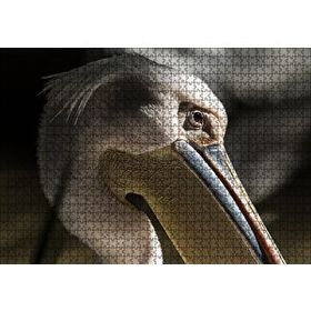 Cakapuzzle Pelikan Yakın Çekim 120 Parça Ahşap Puzzle