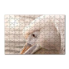 Cakapuzzle Pelikan Yakın Çekim Flu Arkaplan 120 Parça Ahşap Puzzle