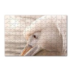 Cakapuzzle Pelikan Yakın Çekim Flu Arkaplan 120 Parça Ahşap Puzzle