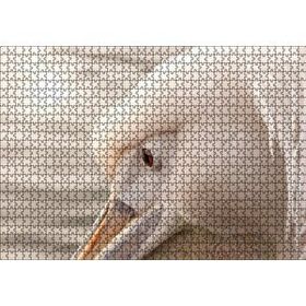 Cakapuzzle Pelikan Yakın Çekim Flu Arkaplan 120 Parça Ahşap Puzzle