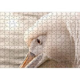 Cakapuzzle Pelikan Yakın Çekim Flu Arkaplan 120 Parça Ahşap Puzzle