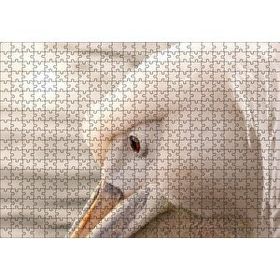 Cakapuzzle Pelikan Yakın Çekim Flu Arkaplan 120 Parça Ahşap Puzzle