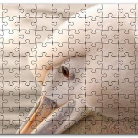 Cakapuzzle Pelikan Yakın Çekim Flu Arkaplan Mdf 255 Parça Puzzle