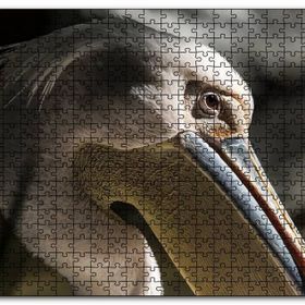 Cakapuzzle Pelikan Yakın Çekim Mdf 500 Parça Puzzle