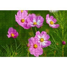 Cakapuzzle Pembe Beyaz Çiçekler 120 Parça Ahşap Puzzle
