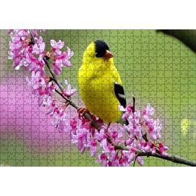 Cakapuzzle Pembe Çiçekli Dalda Sarı Siyah Kuş 120 Parça Ahşap Puzzle