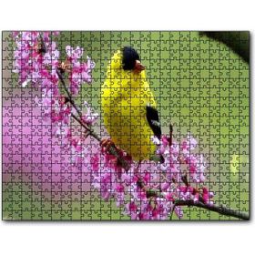 Cakapuzzle Pembe Çiçekli Dalda Sarı Siyah Kuş 500 Parça Puzzle