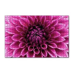 Cakapuzzle Pembe Dahlia Çiçeği Yakın Plan 120 Parça Ahşap Puzzle