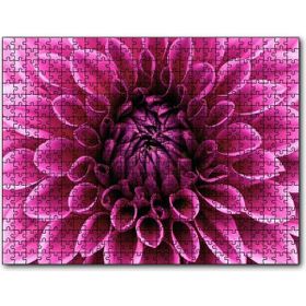 Cakapuzzle Pembe Dahlia Çiçeği Yakın Plan Mdf 1000 Parça Puzzle