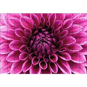 Cakapuzzle Pembe Dahlia Çiçeği Yakın Plan Mdf 120 Parça Puzzle