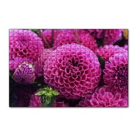 Cakapuzzle Pembe Dahlia Çiçekleri 120 Parça Ahşap Puzzle