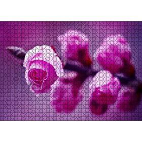 Cakapuzzle Pembe Gül Dalı Görseli 1000 Parça Puzzle