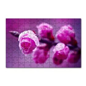 Cakapuzzle Pembe Gül Dalı Görseli 120 Parça Ahşap Puzzle