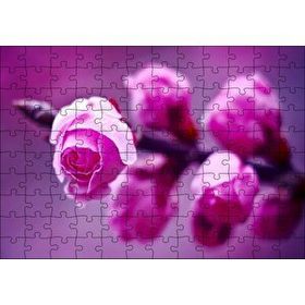 Cakapuzzle Pembe Gül Dalı Görseli 120 Parça Ahşap Puzzle