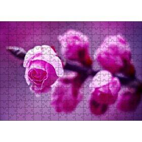 Cakapuzzle Pembe Gül Dalı Görseli 120 Parça Ahşap Puzzle