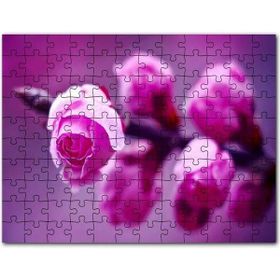 Cakapuzzle Pembe Gül Dalı Görseli 500 Parça Puzzle