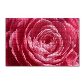 Cakapuzzle Pembe Gül Makro 120 Parça Ahşap Puzzle