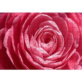 Cakapuzzle Pembe Gül Makro 255 Parça Puzzle