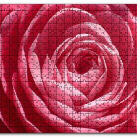 Cakapuzzle Pembe Gül Makro Mdf 500 Parça Puzzle