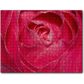 Cakapuzzle Pembe Gül Yakın Çekim 1000 Parça Puzzle